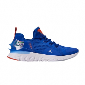 Air Jordan React Havoc Blå Sølv Oransje Herresko