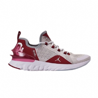 Air Jordan React Havoc Hvit Rød Grå Herresko