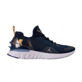 Air Jordan React Havoc Mørke Blå Sølv Hvit Herresko