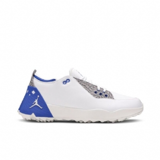Air Jordan Adg 2 Hvit Blå Grå Herresko