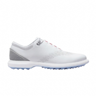 Air Jordan Adg 4 Hvit Grå Herresko