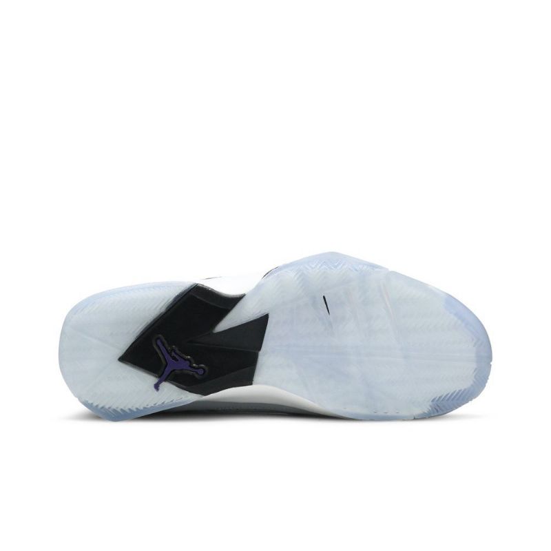 Air Jordan True Flight Grå Lilla Hvit Herresko
