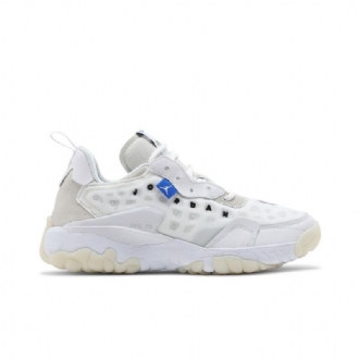 Air Jordan Delta 2 Hvit Grå Blå Herresko
