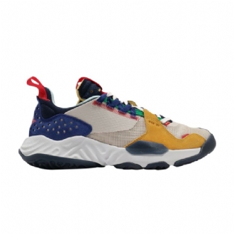 Air Jordan Delta Grå Flerfargede Herresko
