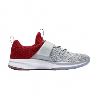 Air Jordan Trainer 2 Flyknit Grå Rød Sølv Herresko