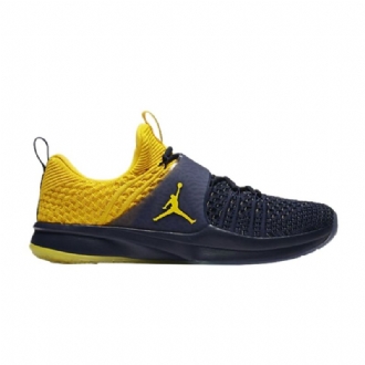 Air Jordan Trainer 2 Flyknit Marineblå Gule Herresko