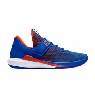 Air Jordan Trainer 3 Blå Hvit Oransje Herresko