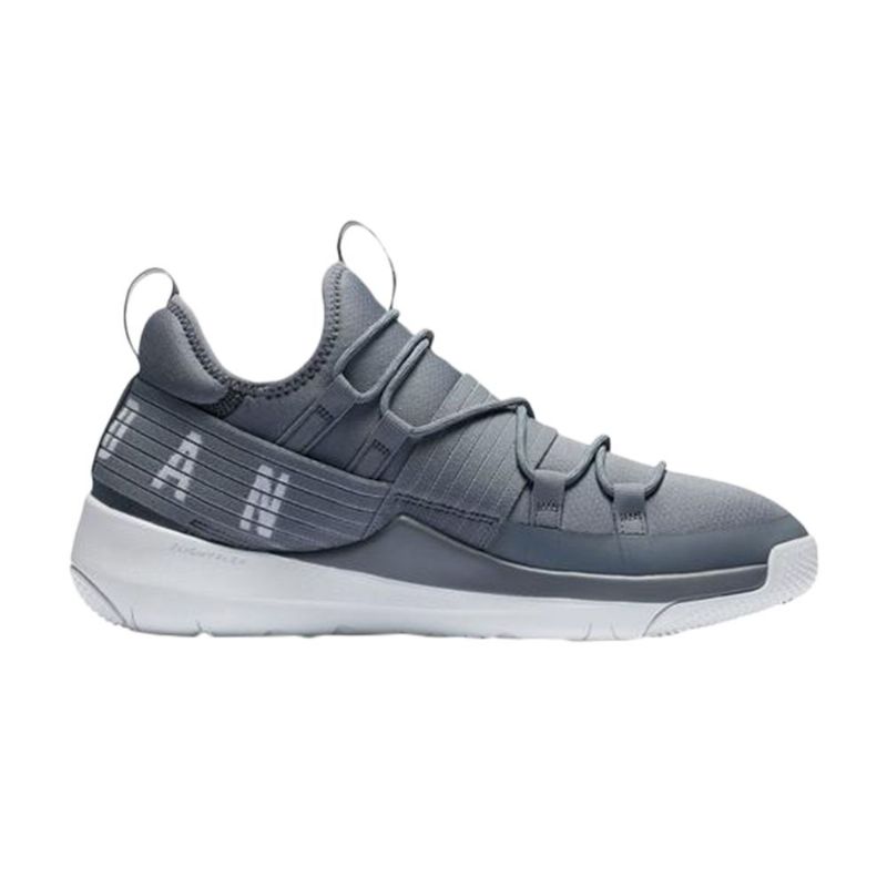 Air Jordan Trainer Pro Grå Hvite Herresko